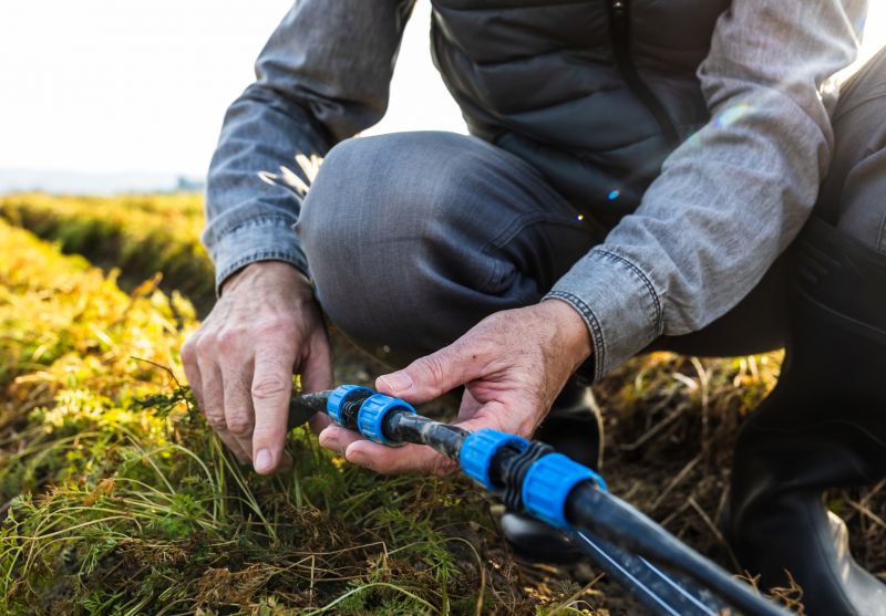 Sprinkler Maintenance